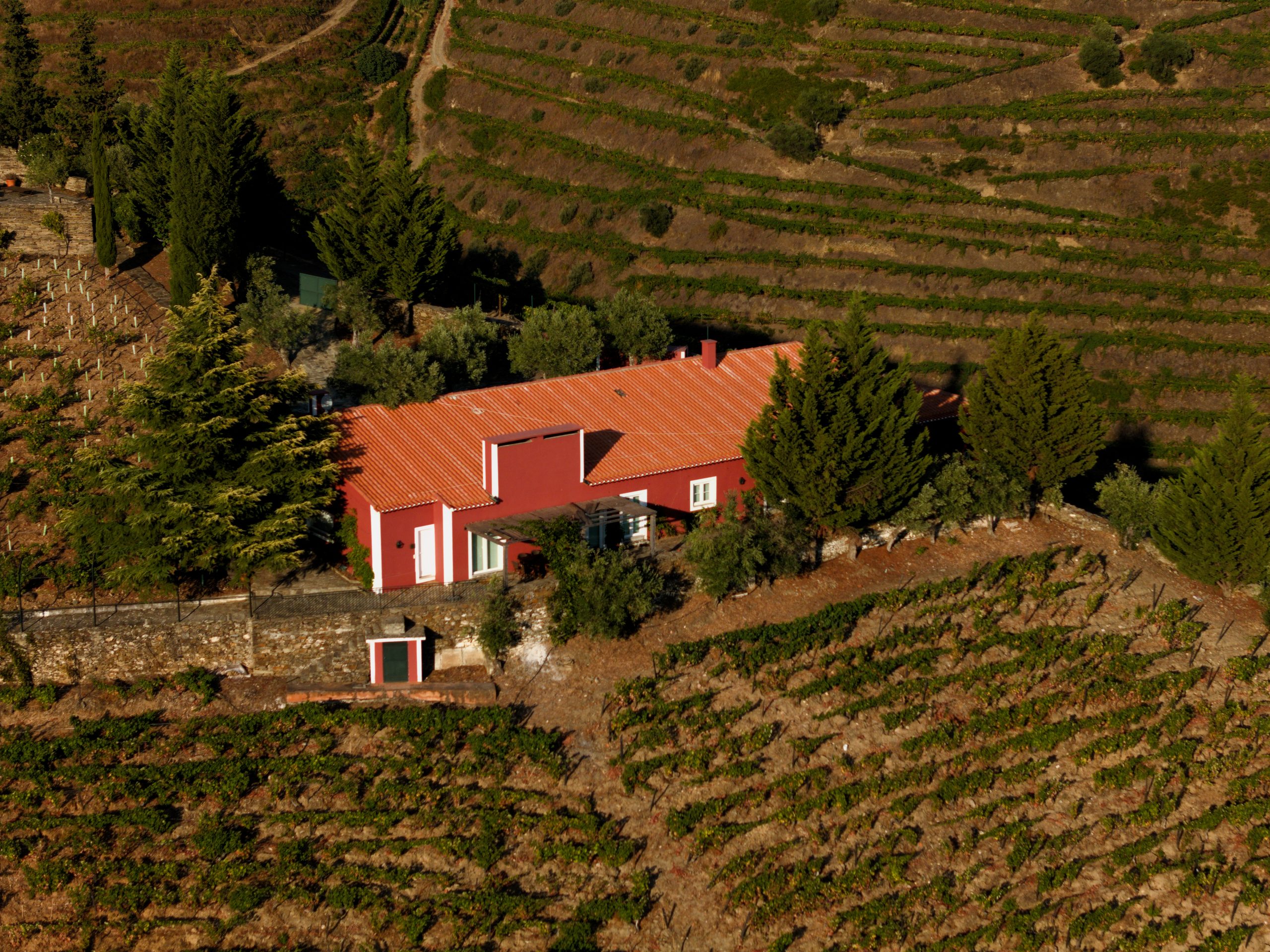 Enoturismo Quinta Vale D. Maria