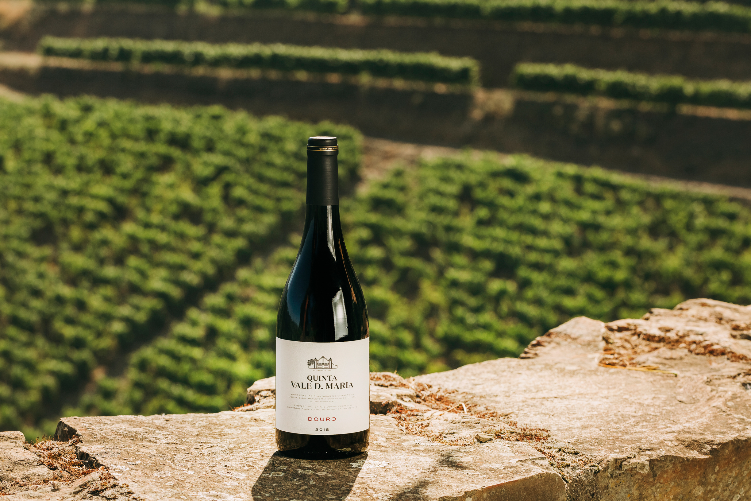 Quinta Vale D. Maria Vinhas Velhas