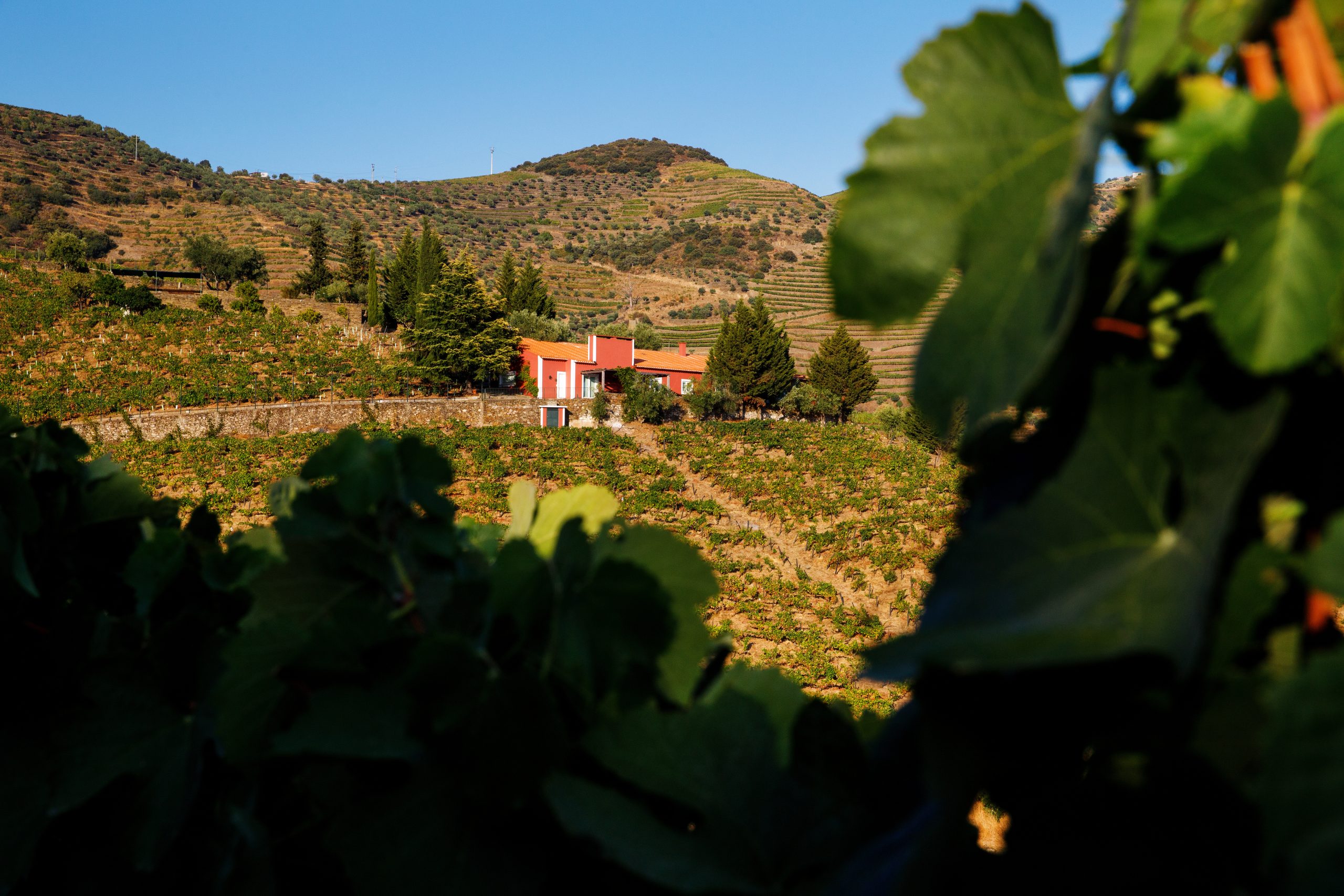 Quinta Vale D. Maria